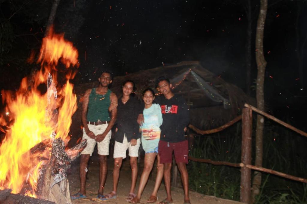 Glamping 3*