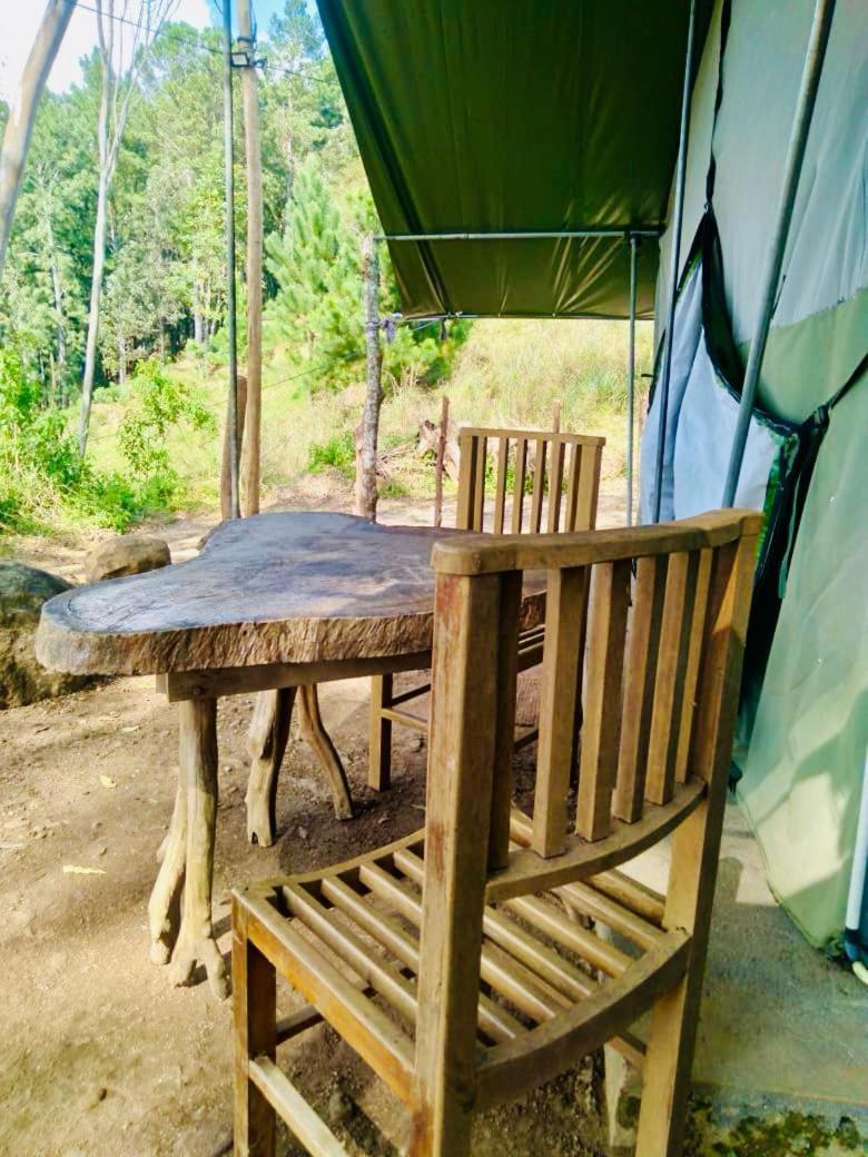 Luxury tent Glamping Ella
